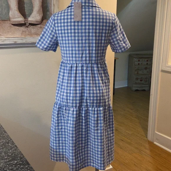 Emery Rose Gingham Button-Down Dress - Picture 7 of 12